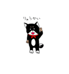黒柴こてつさん（個別スタンプ：5）