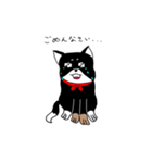 黒柴こてつさん（個別スタンプ：6）