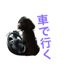 騒がしい犬達（個別スタンプ：12）