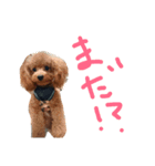 騒がしい犬達（個別スタンプ：18）