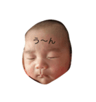 いつもの表情（個別スタンプ：4）