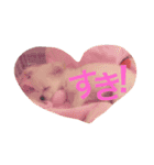 アメリアチャンスタンプ（個別スタンプ：9）