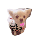 アメリアチャンスタンプ（個別スタンプ：14）