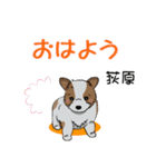 荻原さん用の名前スタンプ・子犬のイラスト（個別スタンプ：18）
