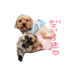 愛犬(ぷるぷち)（個別スタンプ：2）