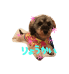愛犬(ぷるぷち)（個別スタンプ：5）