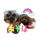 愛犬(ぷるぷち)（個別スタンプ：9）