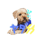 愛犬(ぷるぷち)（個別スタンプ：11）