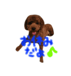 愛犬(ぷるぷち)（個別スタンプ：13）