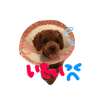 愛犬(ぷるぷち)（個別スタンプ：14）