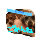 愛犬(ぷるぷち)（個別スタンプ：15）