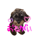 愛犬(ぷるぷち)（個別スタンプ：16）