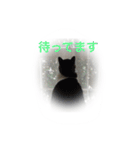 こたはな（個別スタンプ：3）