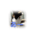 こたはな（個別スタンプ：6）