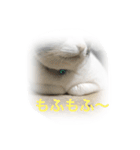 こたはな（個別スタンプ：14）