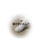 こたはな（個別スタンプ：15）