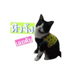 I'm Jeejee（個別スタンプ：5）
