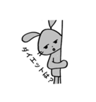 辛口うさぎ（中辛）（個別スタンプ：3）