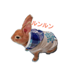 maron@（個別スタンプ：2）