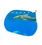 沖縄水族館（個別スタンプ：3）