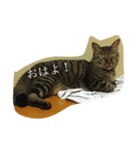 cat LOVE my home（個別スタンプ：1）