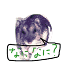 話すター(hamster)（個別スタンプ：3）