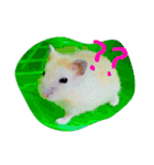 話すター(hamster)（個別スタンプ：5）