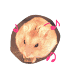 話すター(hamster)（個別スタンプ：17）