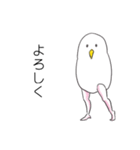 ジミー・バード（個別スタンプ：29）