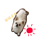 福來さん（個別スタンプ：1）