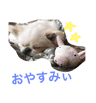 福來さん（個別スタンプ：2）