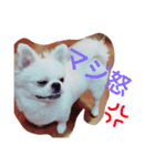 福來さん（個別スタンプ：3）
