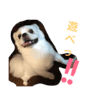 福來さん（個別スタンプ：6）