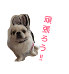 福來さん（個別スタンプ：8）