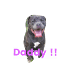 Dogs life so hard（個別スタンプ：8）