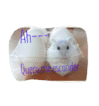 ポルトガル語のインコ（個別スタンプ：4）