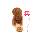 TETOスタンプ第3弾！！（個別スタンプ：2）
