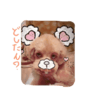 TETOスタンプ第3弾！！（個別スタンプ：6）