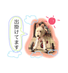 ちはあり（個別スタンプ：15）