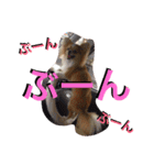 maaa-chan（個別スタンプ：2）