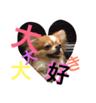 maaa-chan（個別スタンプ：3）