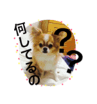 maaa-chan（個別スタンプ：6）