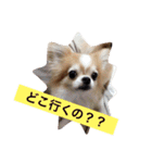 maaa-chan（個別スタンプ：8）