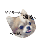 maaa-chan（個別スタンプ：9）