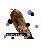 maaa-chan（個別スタンプ：18）
