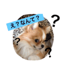 maaa-chan（個別スタンプ：21）