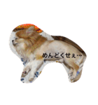 maaa-chan（個別スタンプ：26）