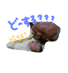 kenjigatukau（個別スタンプ：8）