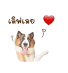 Bow the dog（個別スタンプ：6）