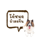 Bow the dog（個別スタンプ：7）